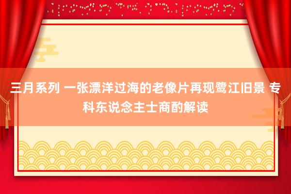 三月系列 一张漂洋过海的老像片再现鹭江旧景 专科东说念主士商酌解读
