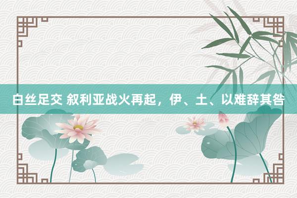 白丝足交 叙利亚战火再起，伊、土、以难辞其咎