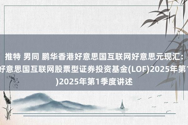 推特 男同 鹏华香港好意思国互联网好意思元现汇：鹏华香港好意思国互联网股票型证券投资基金(LOF)2025年第1季度讲述