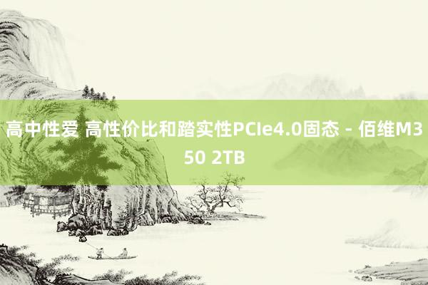 高中性爱 高性价比和踏实性PCIe4.0固态 - 佰维M350 2TB