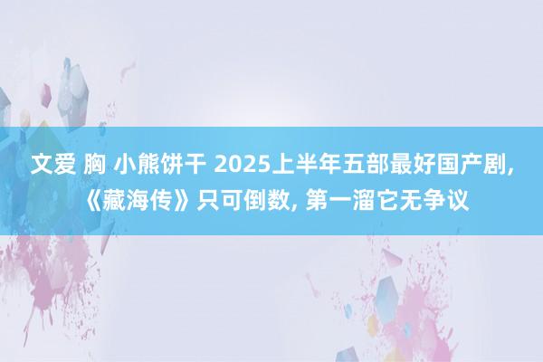 文爱 胸 小熊饼干 2025上半年五部最好国产剧, 《藏海传》只可倒数, 第一溜它无争议