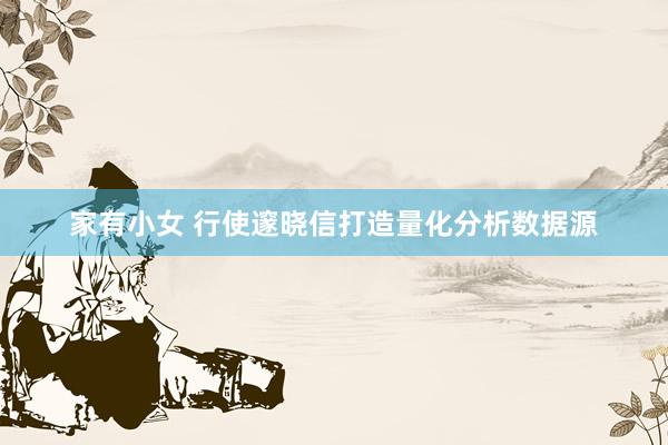 家有小女 行使邃晓信打造量化分析数据源